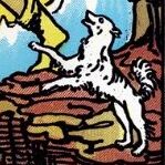 Le petit chien du Mat